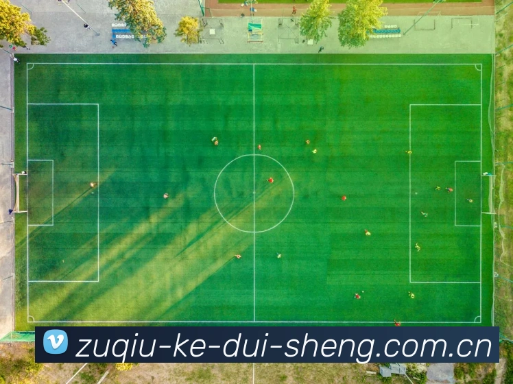 企业概况
